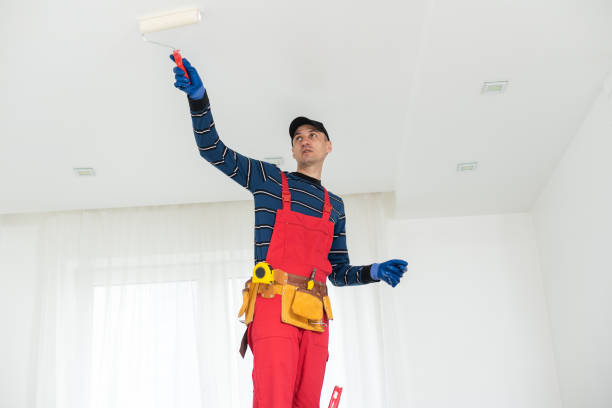 Professional Painting in Camden, NJ